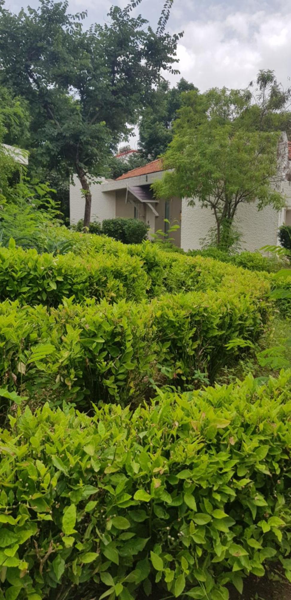 The Meadows Resort And Spa Αουρανγκαμπάντ Δωμάτιο φωτογραφία